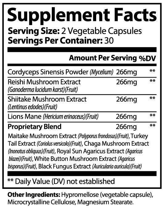 Mushroom Superfood Pulse & Vitality