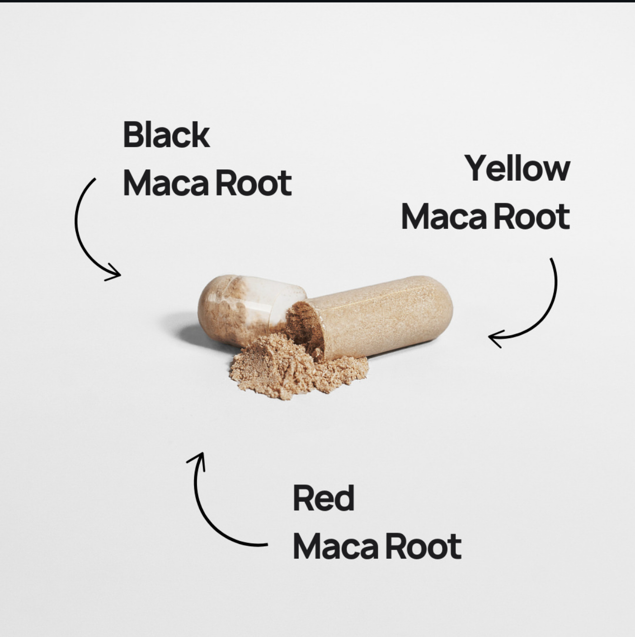 Maca+ for Men & Women - Pulse & Vitality
